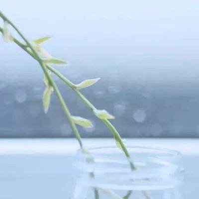 又一个“王”走下神坛！他曾和巴菲特齐名